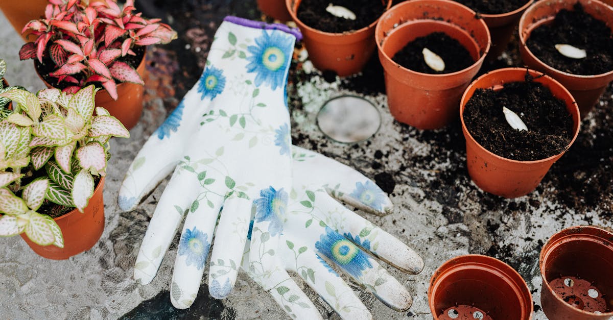 floral gloves and potted plants on a table perfect for home gardening inspiration