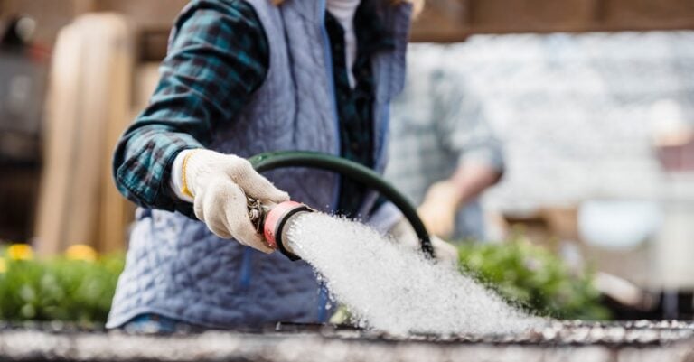 7 Ways to Optimize Water Use in Container Gardening That Cut Costs