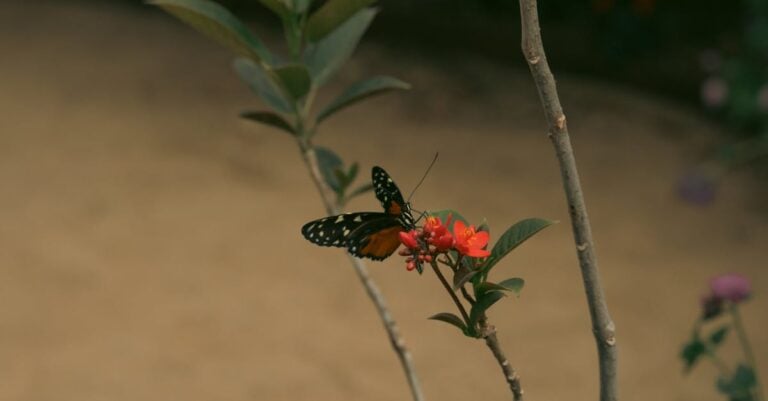 7 Ideas for Maximizing Pollination in Greenhouse Environments That Work