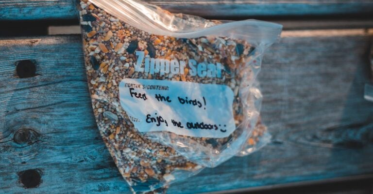 7 Advantages of Vacuum Sealing Seeds That Preserve Heritage Varieties