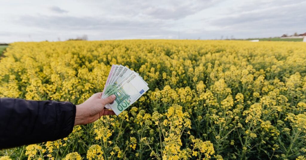 hand holding euro notes above a vibrant rapeseed field representing agricultural investment