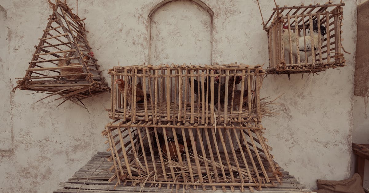 handcrafted wooden chicken cages hanging on a rustic textured wall