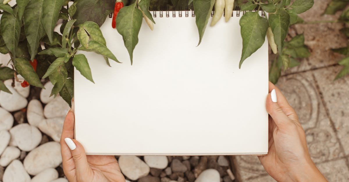 hands holding a blank notebook surrounded by green leaves and white pebbles outdoors