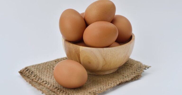 5 Benefits of Forage-Based Diets for Poultry That Cut Feed Costs