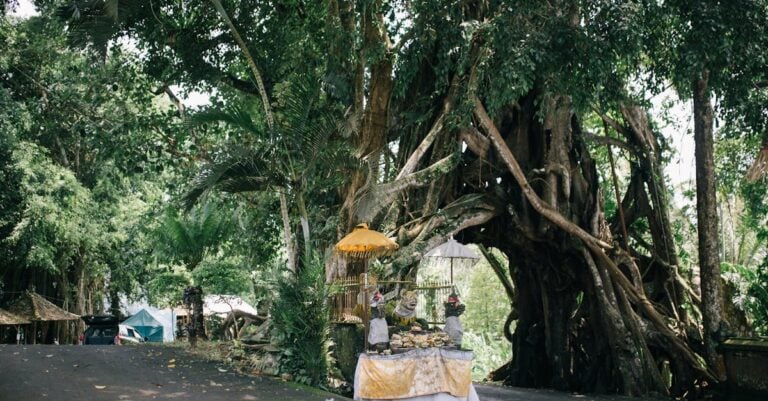 7 Ideas for Exploring Local Climate Variations in Your Neighborhood