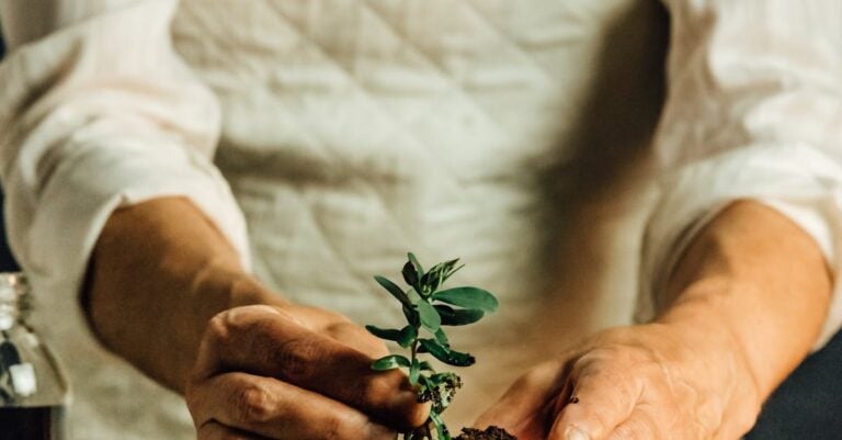 5 Ways to Incorporate Mindfulness Into Farming Without Chemicals