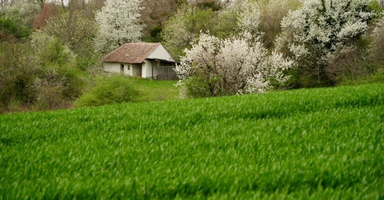 7 Funding Options for Small Farms That Support Self-Sufficiency
