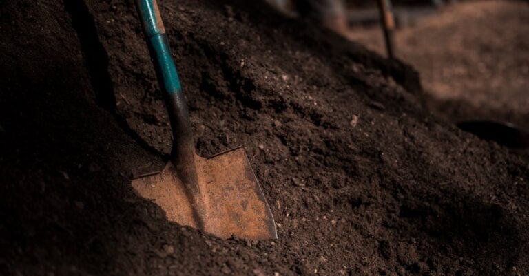 6 Ways Using Compost Combats Soil Erosion Without Chemicals