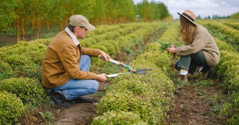 7 Farm Maintenance Ways That Prevent Costly Breakdowns