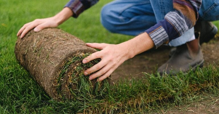 5 Ways to Prepare Soil for Crop Rotation That Prevent Common Issues