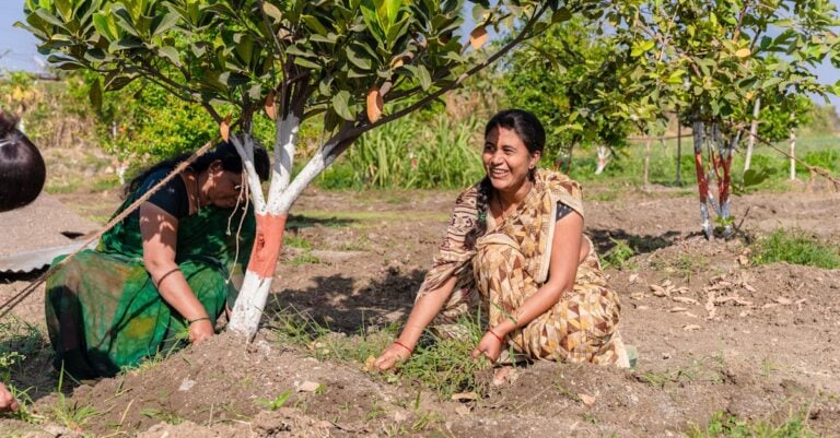 7 Indigenous Techniques for Soil Health That Build Living Earth