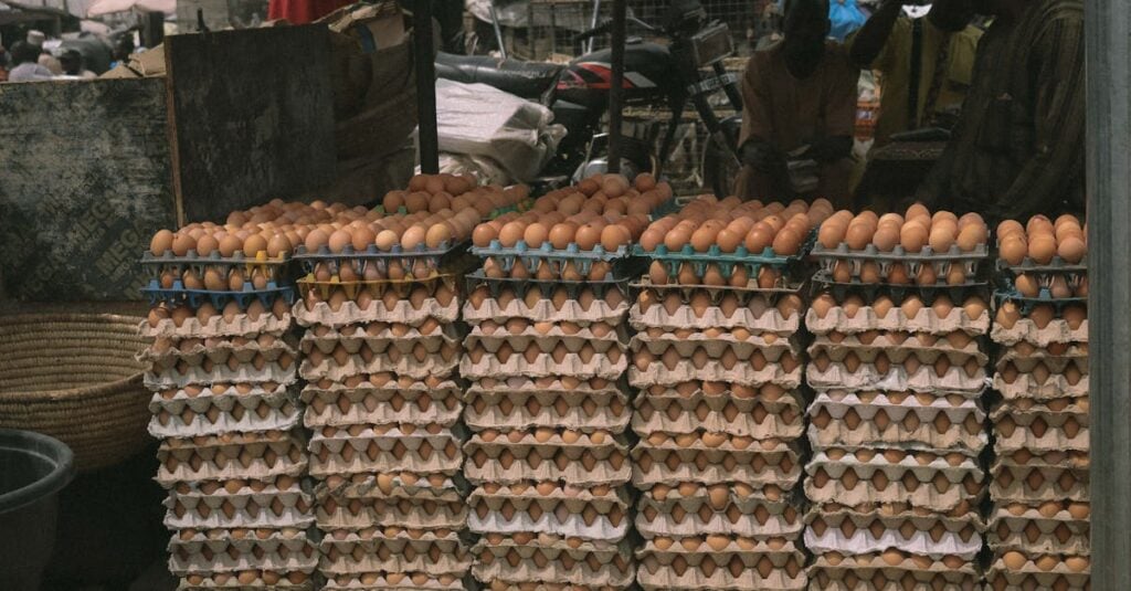 stacks of fresh eggs on display at an outdoor nigerian market in kaduna showcasing local commerce