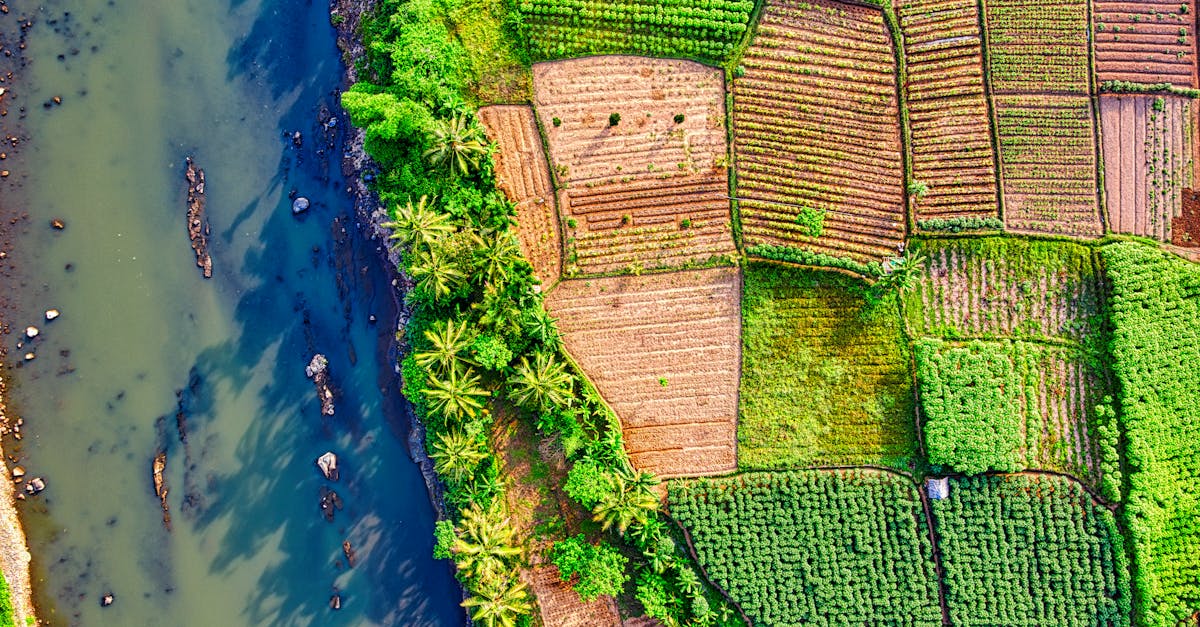 stunning aerial shot of vibrant farmland and river in west java indonesia
