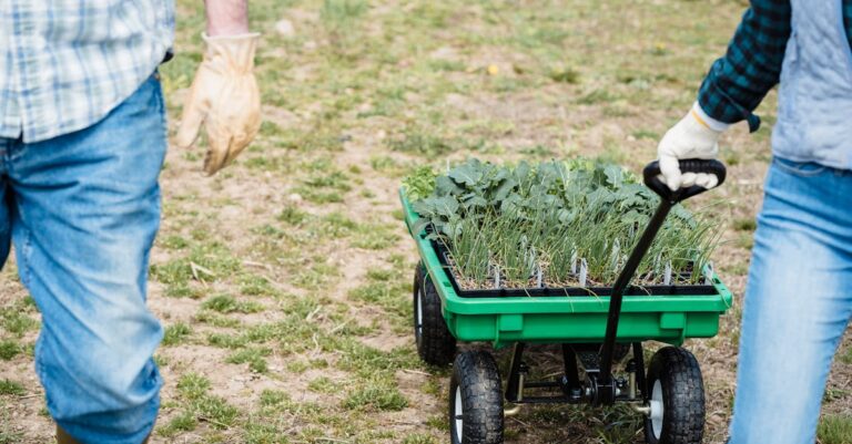 7 Alternative Crops for Short Growing Seasons That Guarantee Success