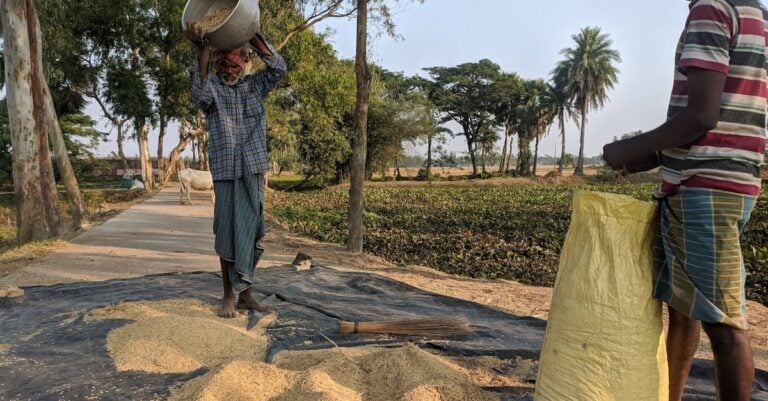 7 Methods for Documenting Farm Sustainability Practices That Build Trust