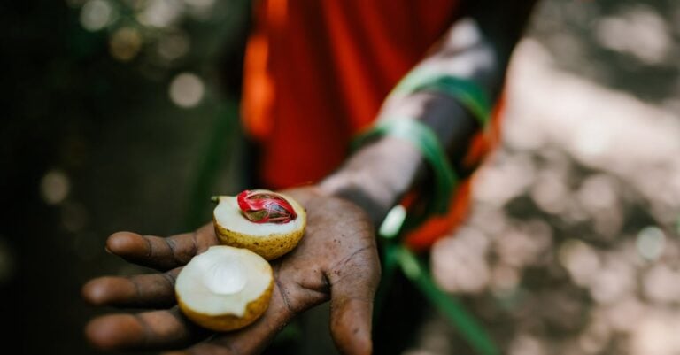 7 Reasons for Advocating Biodiversity in Seed Selection That Preserve Heritage