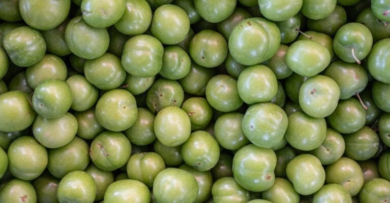5 Ways Local Sourcing Impacts Farmers Market Success That Build Community