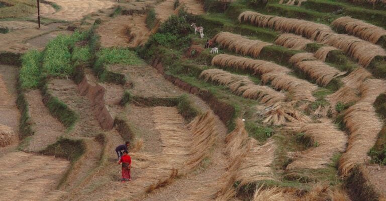 7 Funding Opportunities for Regenerative Agriculture That Support Small Farms