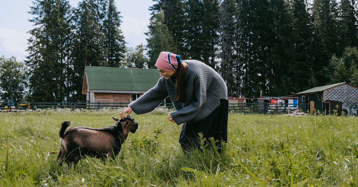 woman feeding a goat on a rural farm with lush greenery and forest backdrop