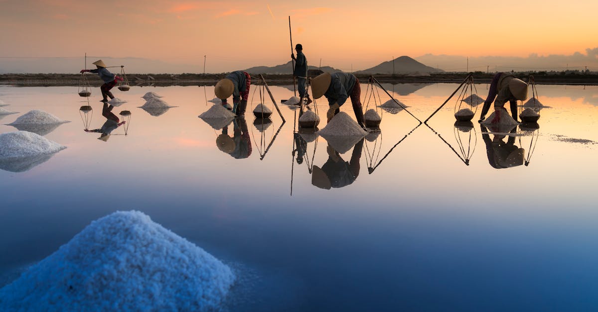workers harvesting salt at sunrise reflected in calm water creating serene silhouettes