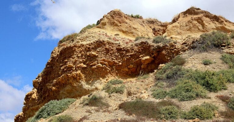 5 Best Erosion Control Fabric for Hillside Gardens That Prevent Washouts