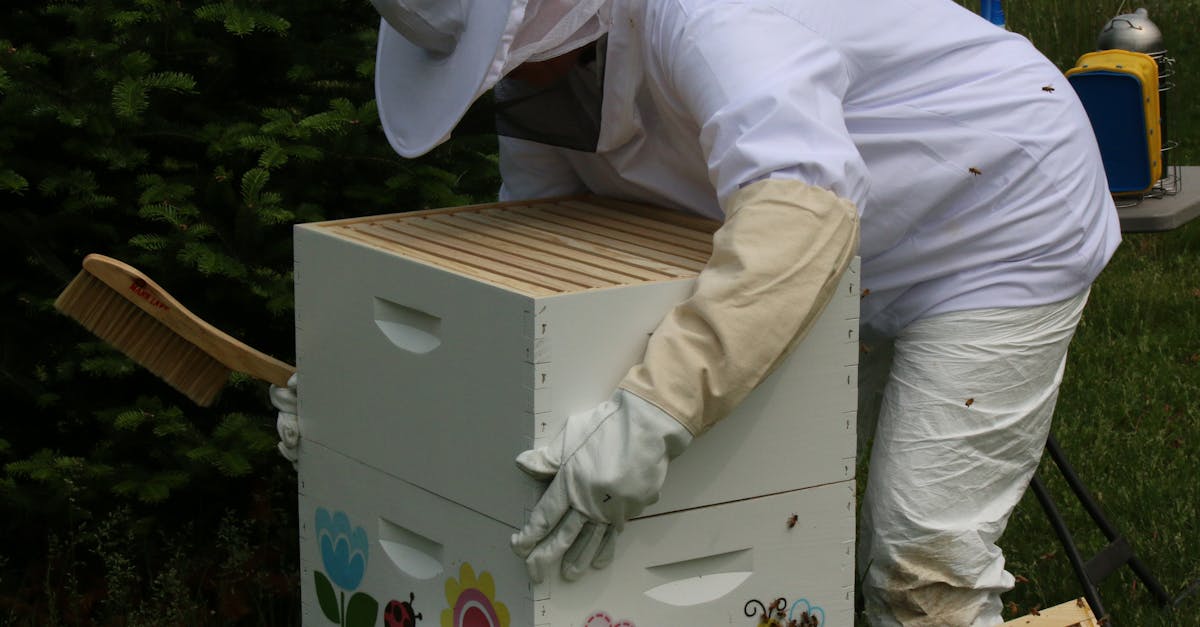 a beekeeper in protective gear tending to a beehive outdoors on a sunny day 1