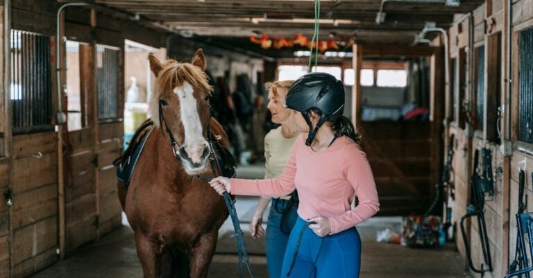 4 Best Horse Grooming Kits for Beginners That Build Trust