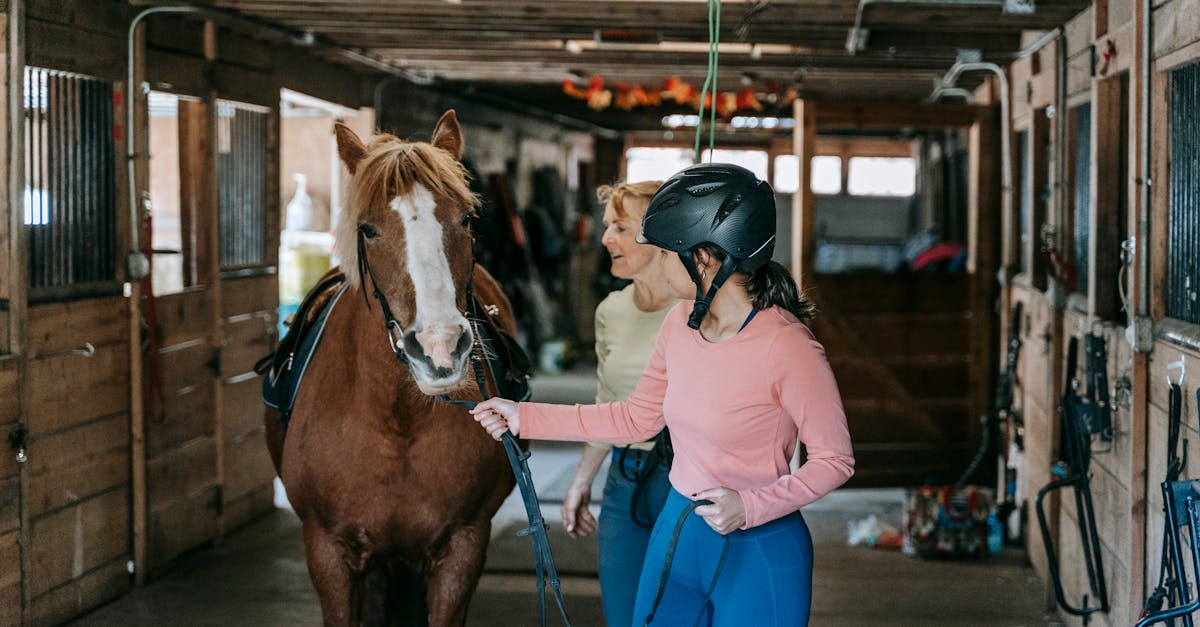 a beginner learning horseback riding under supervision in a stable