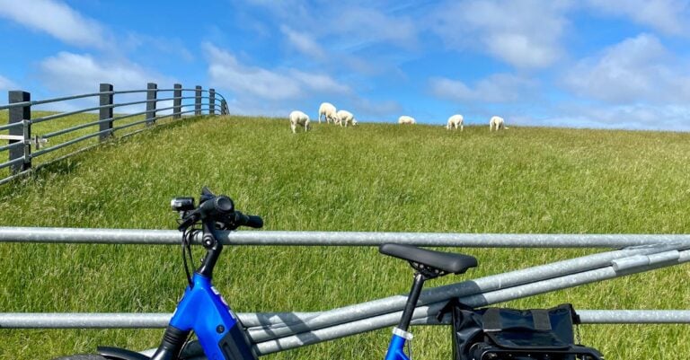 6 Best Electric Fence Unrollers for Sheep Grazing That Save Hours