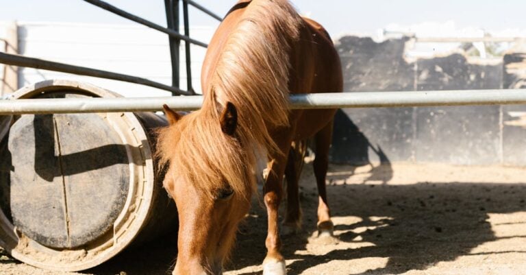 7 Best Horse Fence Ground Rods for Conductivity That Prevent Escapes