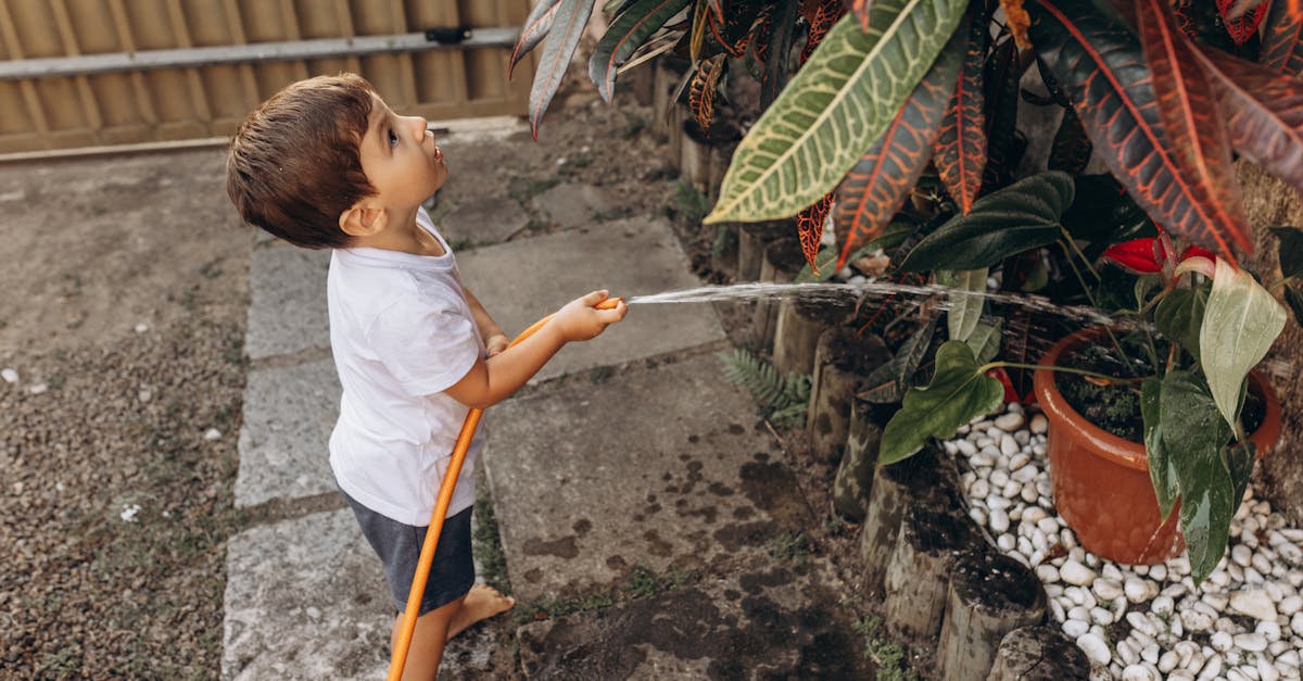 a cheerful child watering garden plants with a hose on a sunny day