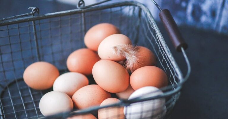 7 Best Hog Rings for Attaching Chicken Wire That Old Farmers Trust