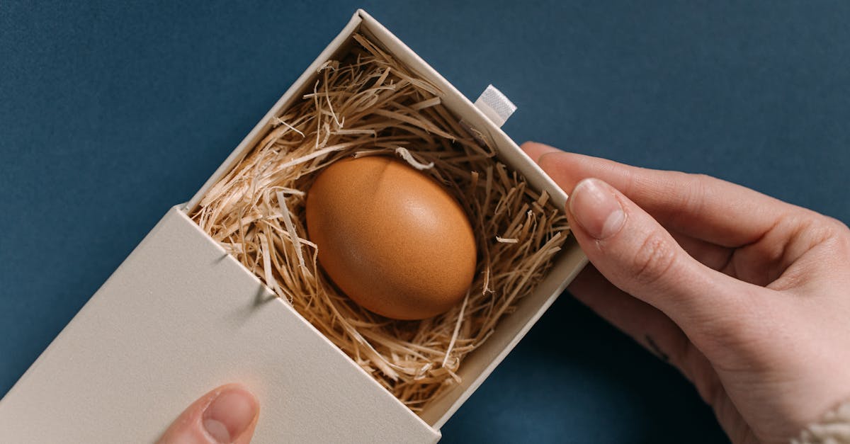 a close up shot of an egg nestled in straw inside a small open box held by hands