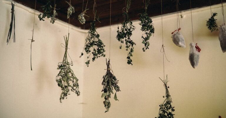 7 Best Large Tubs for Soaking Harvested Herbs That Preserve Quality