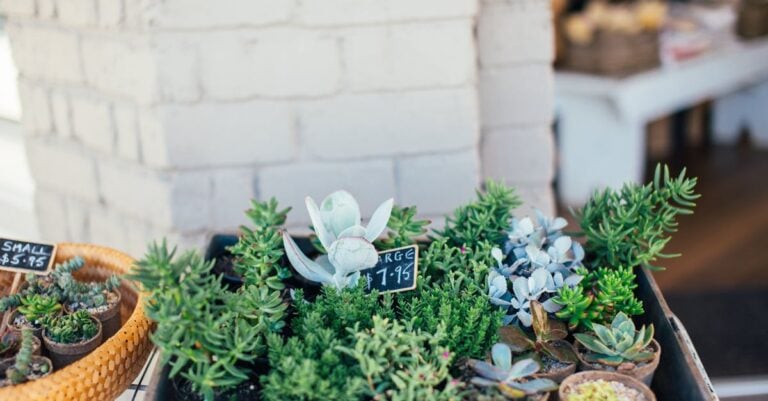 6 Best Vertical Garden Planters for Small Balconies That Maximize Space