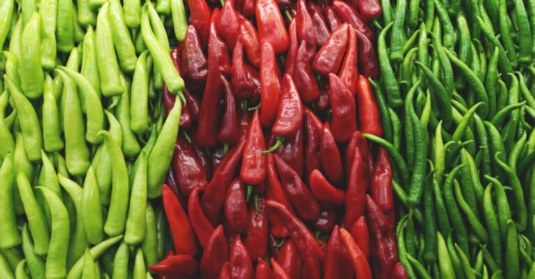 5 Best Flat Soaker Hoses for Vegetable Rows That Save Water