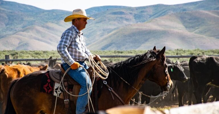 7 Best Inline Fence Tighteners for Electric Horse Fences That Prevent Costly Repairs