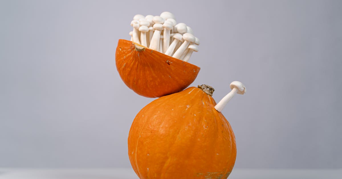 a creative still life featuring pumpkins and mushrooms on a gray background