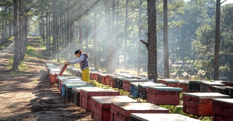 7 Best Solar Powered Ventilation for Bee Hives That Keep Colonies Healthy