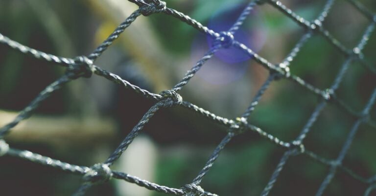 7 Best Guinea Fowl Netting for Garden Protection That Actually Work