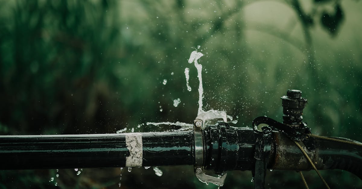 a detailed view of a leaking water pipe in a lush green garden setting 1