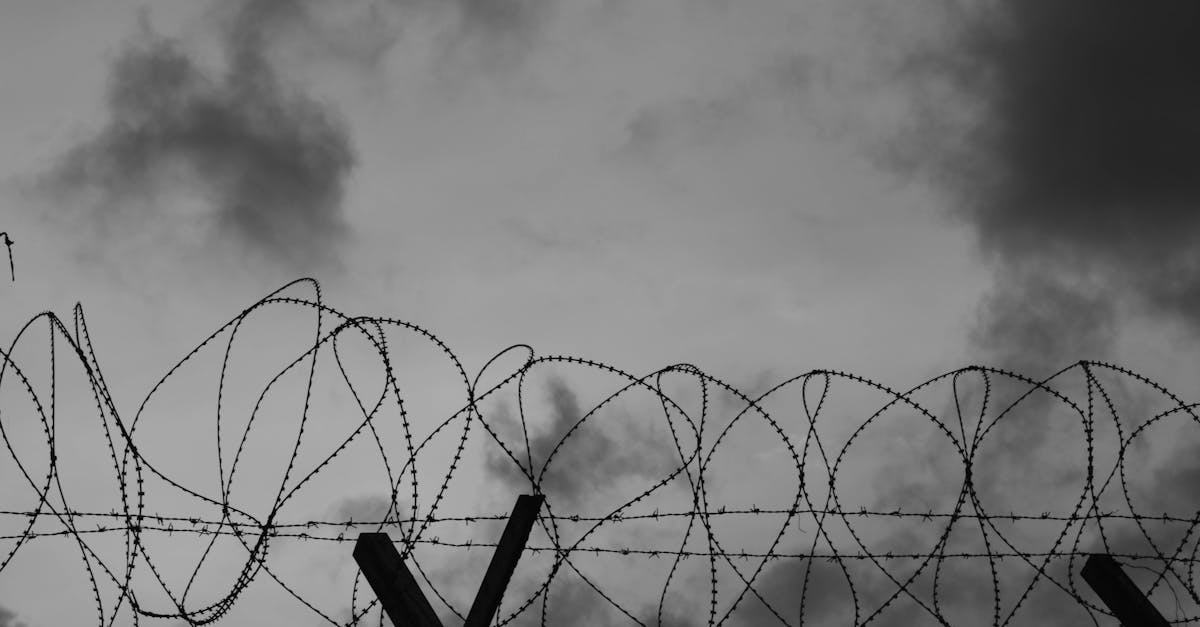 a dramatic black and white image showing barbed wire silhouetted against a cloudy sky