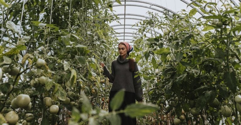 6 Best Rustproof Tomato Cages for Humid Climates That Last Decades