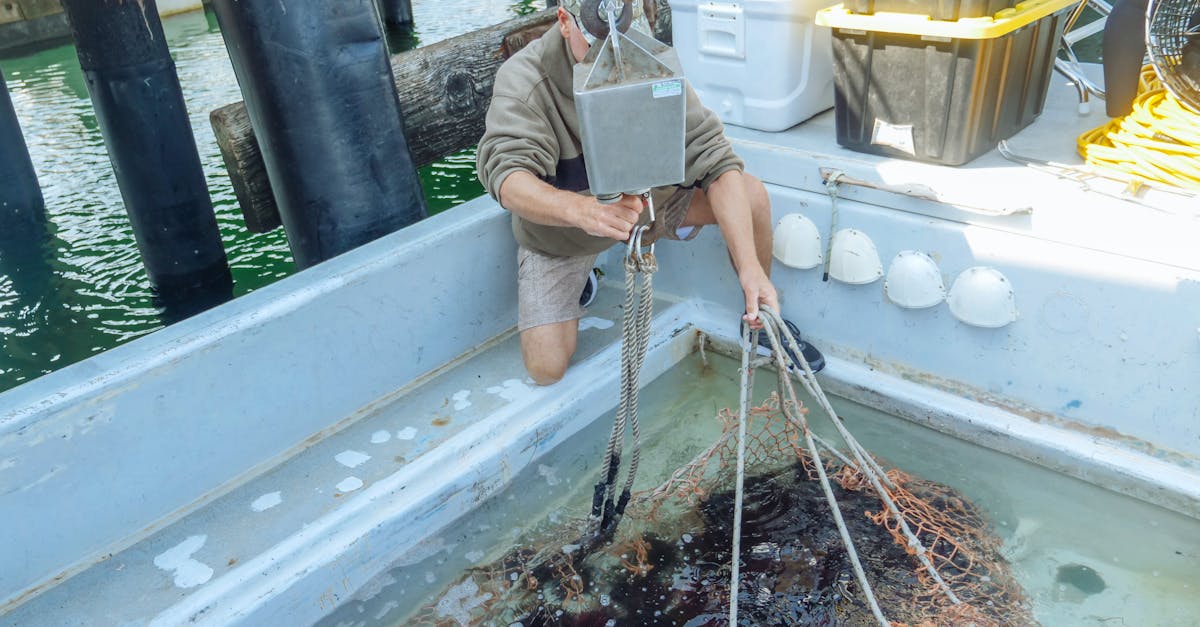 a fisherman works with fishing equipment on a boat in santa barbara harbor