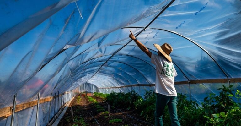 6 Best Plastic Landscape Edging for Vegetable Gardens That Stop Weeds