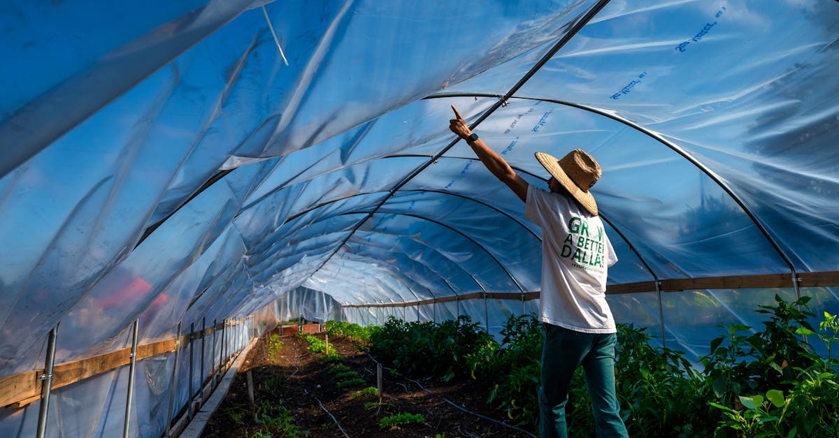 a gardener in a hat points upwards inside a plastic covered greenhouse tunnel filled with plants