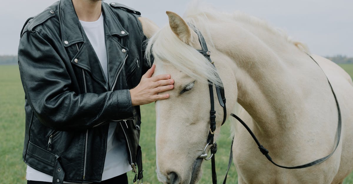 a man in a black leather jacket gently petting a white horse in an open green field