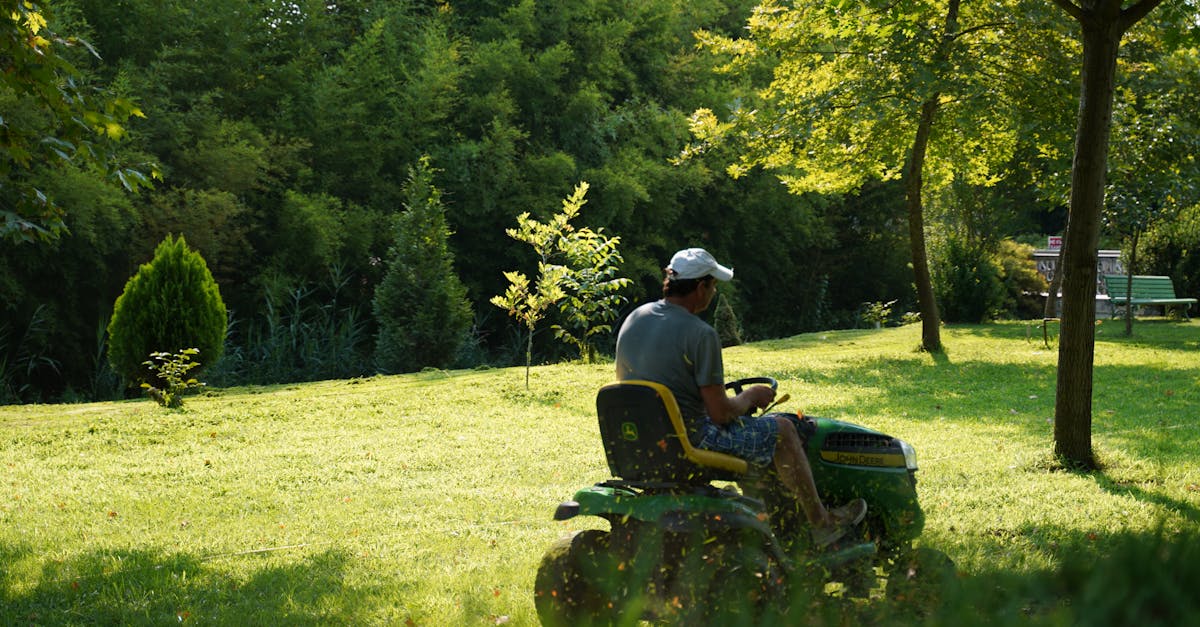 a man operating a lawn mower on a sunny day in a lush green garden surrounded by trees and foliage 1