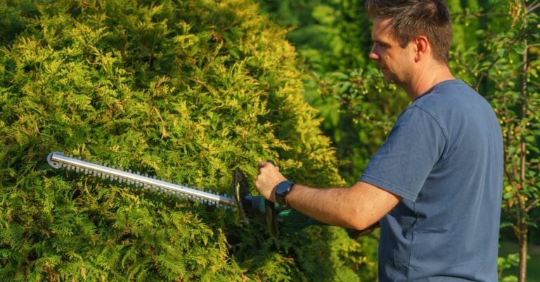 4 Best Single Sided Hedge Trimmers That Create Perfect Edges