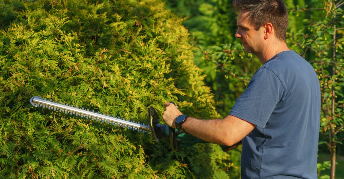 a man uses an electric trimmer to shape a garden hedge showcasing precise landscaping skills